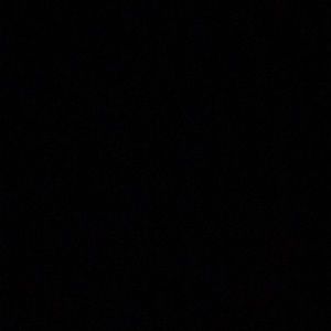 Meet your Posher, Gavin